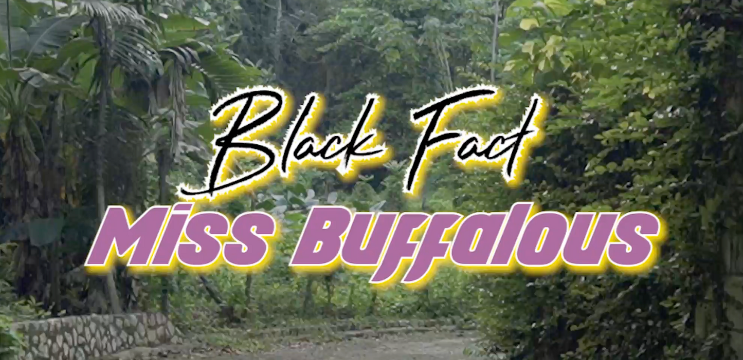 MISS BUFFALOUS VIDEO